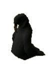 File:Wallasalki.png