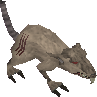 File:Zombie rat.png