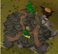 File:Armoured tortoise.png