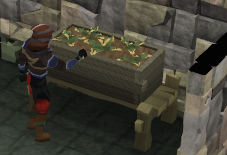 A player harvesting flowers