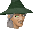 File:Wizard Acantha chathead.png