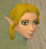 File:Arvel chathead.png