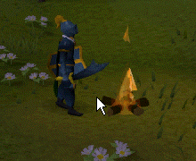 File:Cooking fire.gif