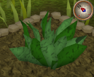File:GreenHerb5.png