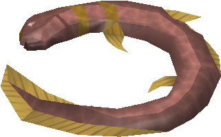 File:Short-finned eel detail.png