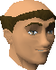 File:Brother Cedric Head.png