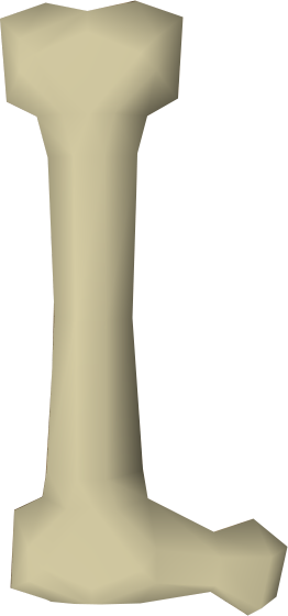 File:Long bone detail.png
