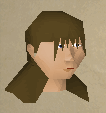 File:Donie chathead.png