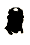 File:Mystery emir.gif
