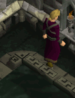 File:Noclip dungeoneering.gif