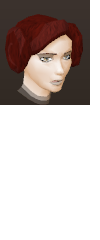 File:Female hair earmuffs.png
