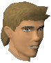 File:Blaze Sharpeye chathead.png