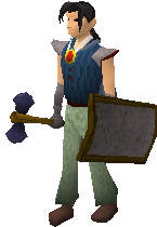 File:Iron sq shield equipped.png