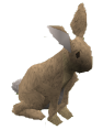 File:Bunny1.png