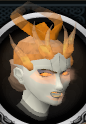 File:Char Chathead2.png