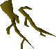 File:Oak roots detail.png