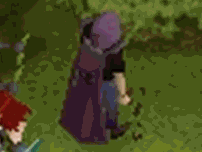 File:Thievingtrim.gif