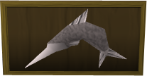 File:Mounted swordfish detail.png