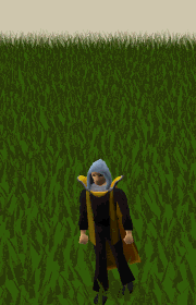 File:Summoning Emote.gif