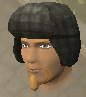 File:Lumberjack hat chathead.png