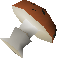 File:Mort myre fungus detail.png