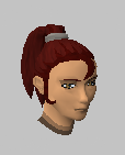 File:High ponytail.png