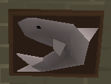 File:Mounted shark.png