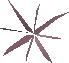 A detailed image of some primweed.