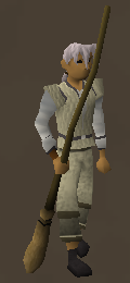 File:Broomstick detail.png