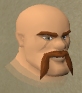 File:Fullangr chathead.png