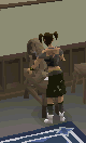 File:SpinningFlax.gif