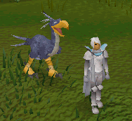 File:Spirit terrorbird scroll.gif