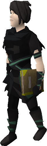 File:Book of war equipped.png