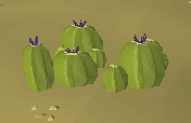 File:Cactus.png
