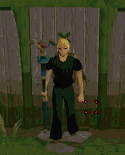 File:Enter Zanaris.gif