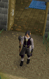 File:Peng totam emote2.gif