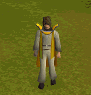 File:Smithing Emote.gif