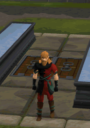 File:Charging Clan ring.gif