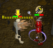 File:Dt dessous hssss.png