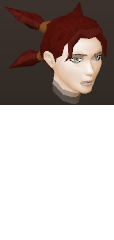 File:Female hair four ponies.png