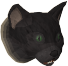 File:Maemi chathead.png