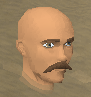File:Council workman chathead.png