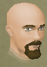 File:Quest guide chathead.png