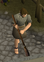 File:Cleaner.png