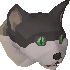 File:Fluffs chathead.png