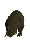 File:Grizzly bear.png