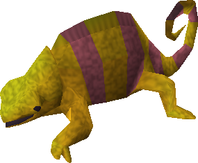 File:Baby-chameleon-poh.png