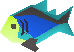 File:Rainbow fish detail.png