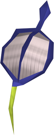 File:Blue vine blossom detail.png