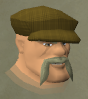 File:Derni chathead.png